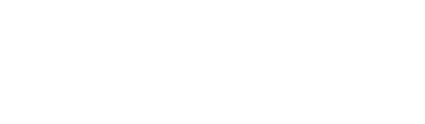 artemisapolo