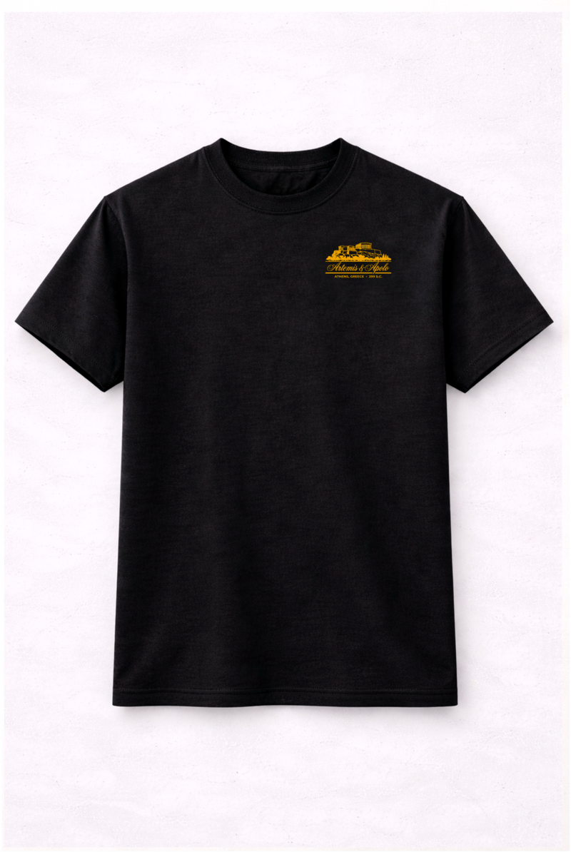 Polera negra oversize Artemis & Apolo - poleras básicas premium Chile