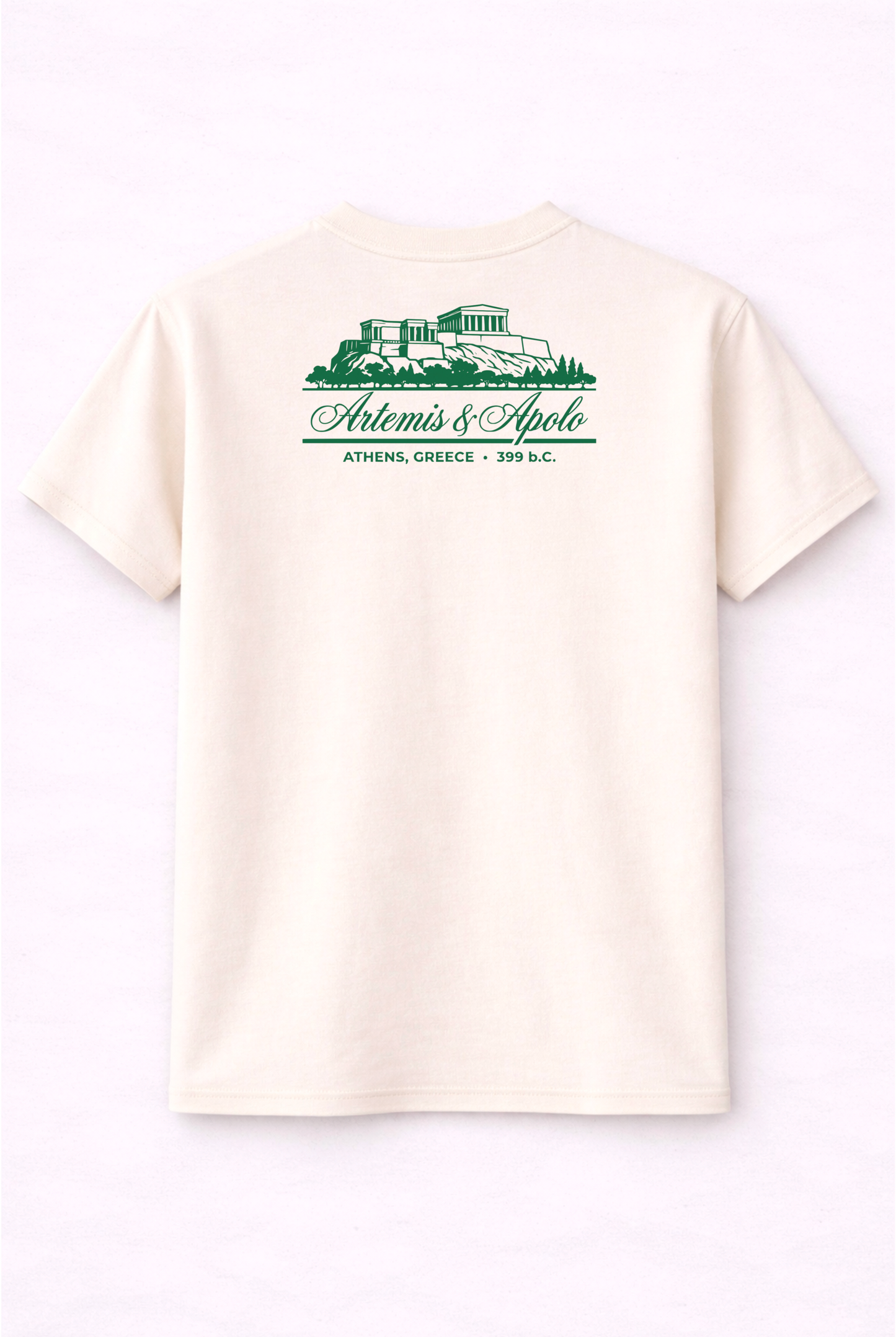 Polera Blanco invierno